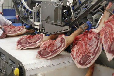 odkostnienie wieprzowych przodków maszyny do mięsa